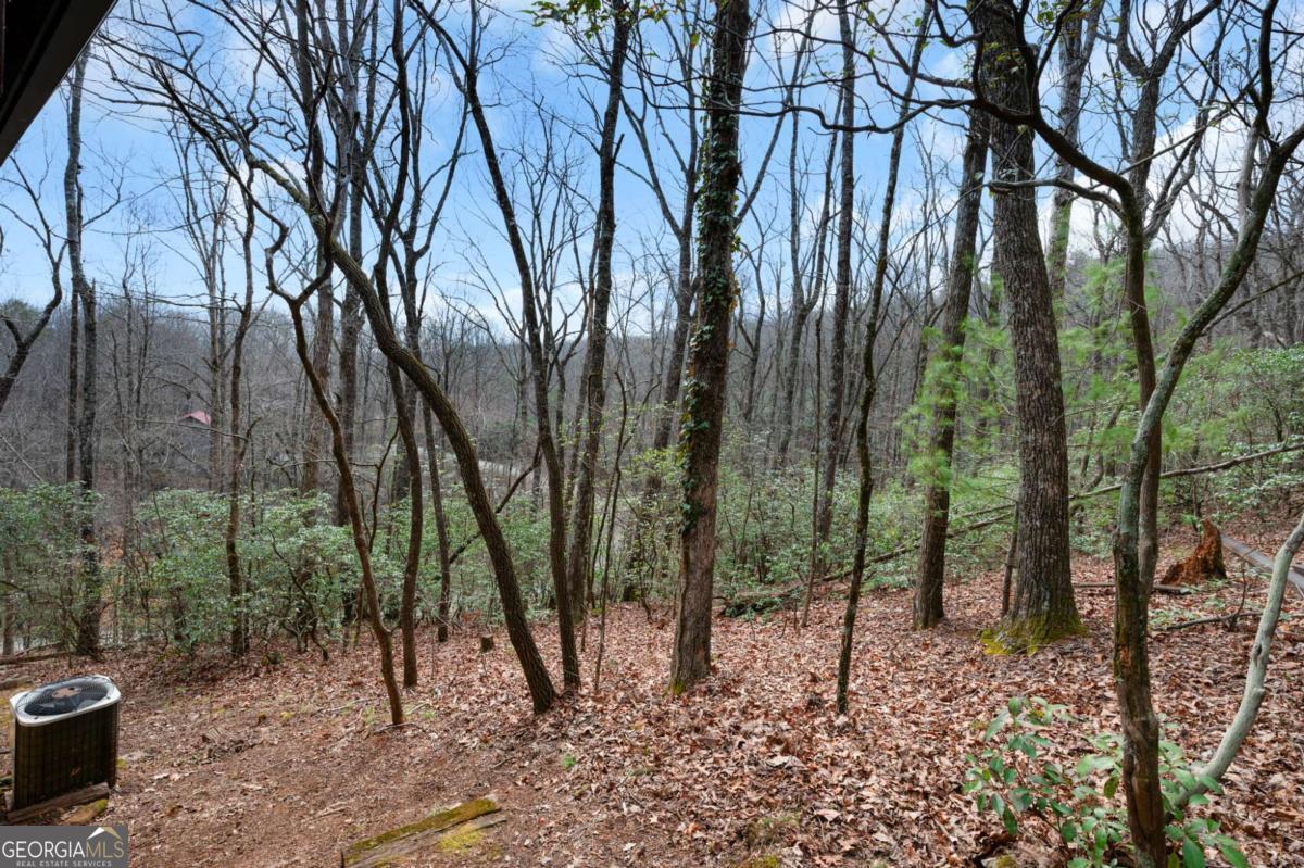 173 Mountain Laurel Lane