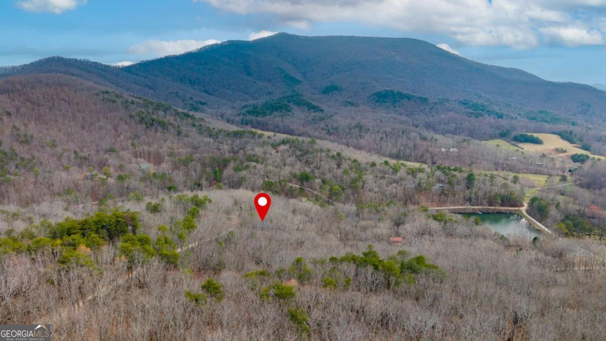 173 Mountain Laurel Lane