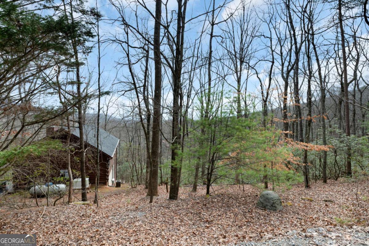 173 Mountain Laurel Lane