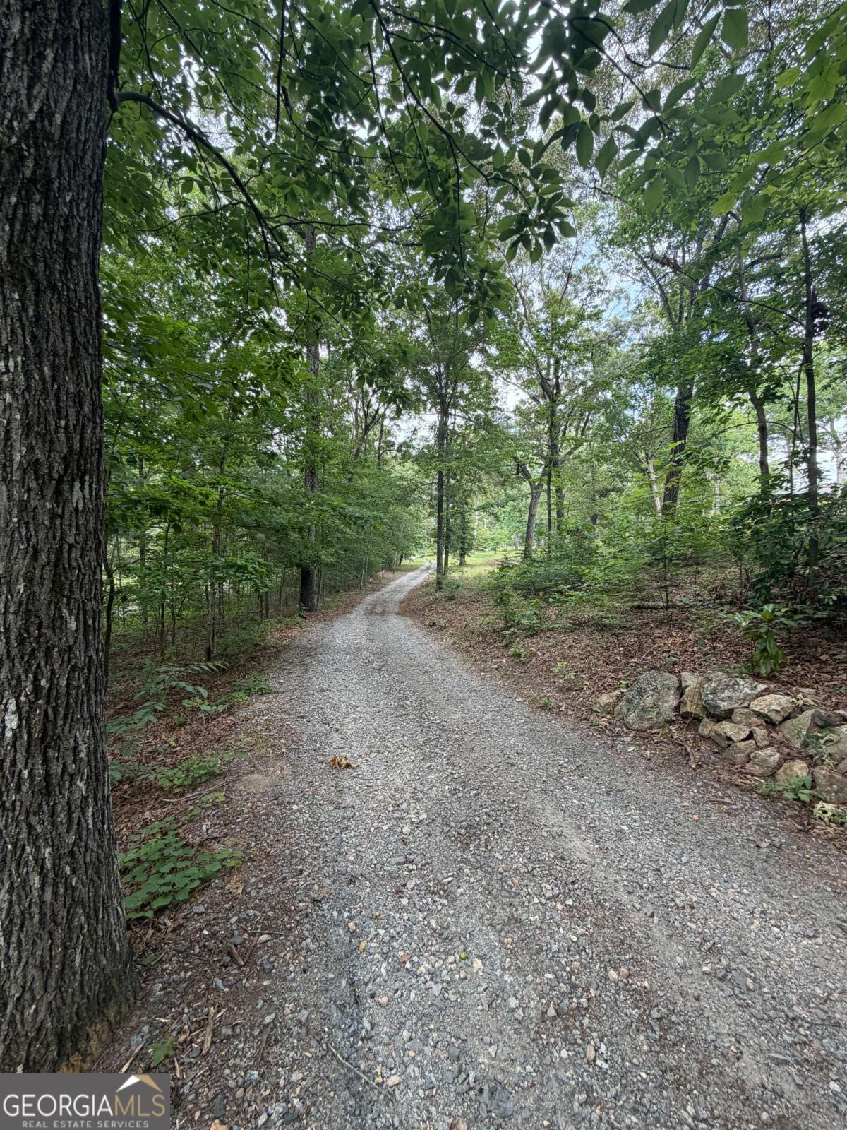 1526 Lost Mountain Road