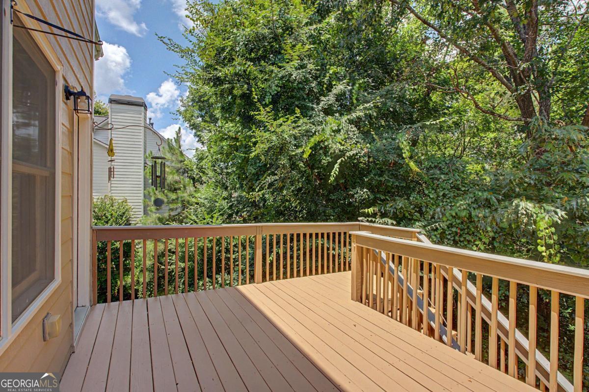 80 Golden Aster Trace