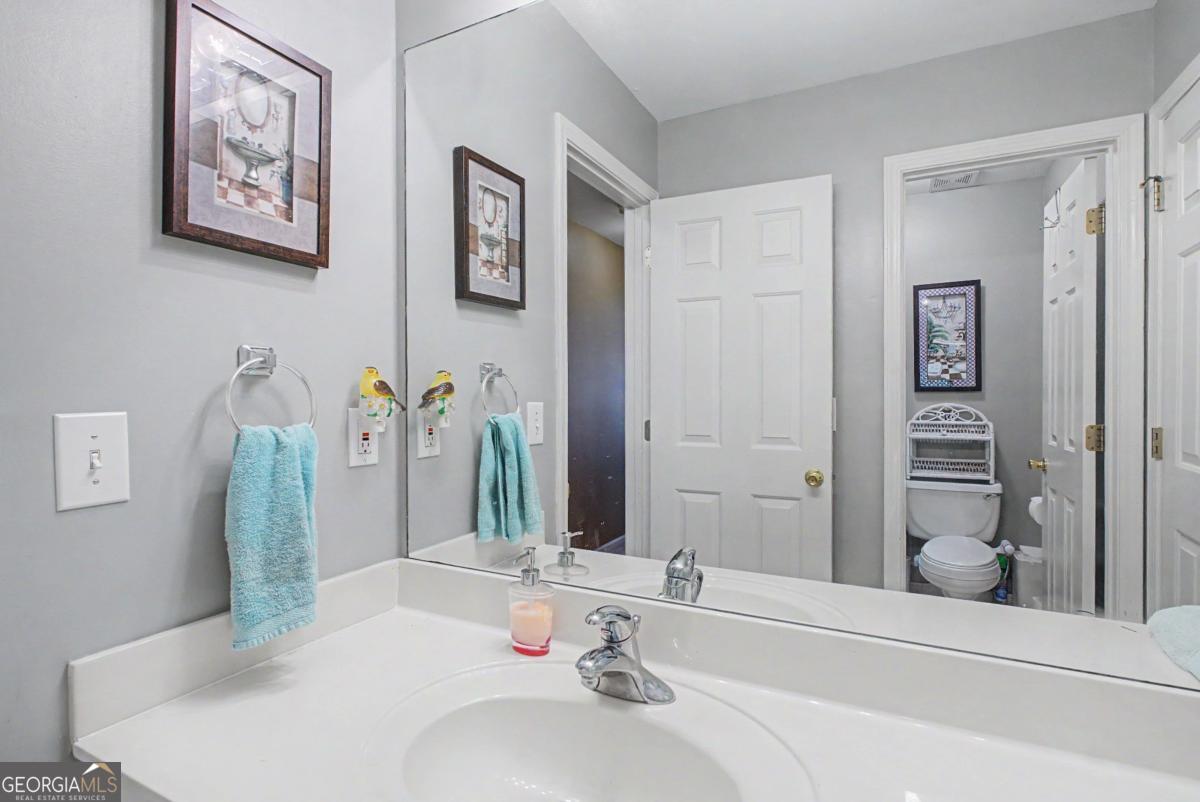 80 Golden Aster Trace