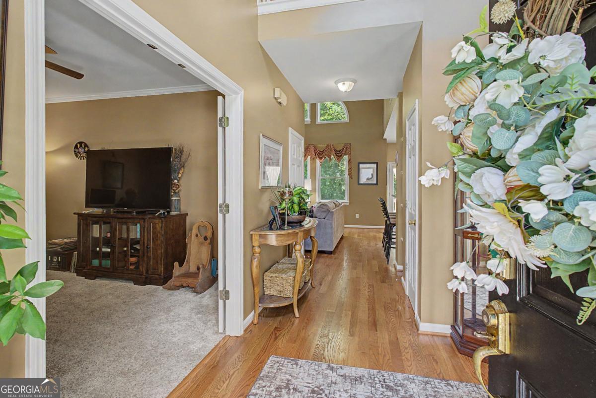 80 Golden Aster Trace