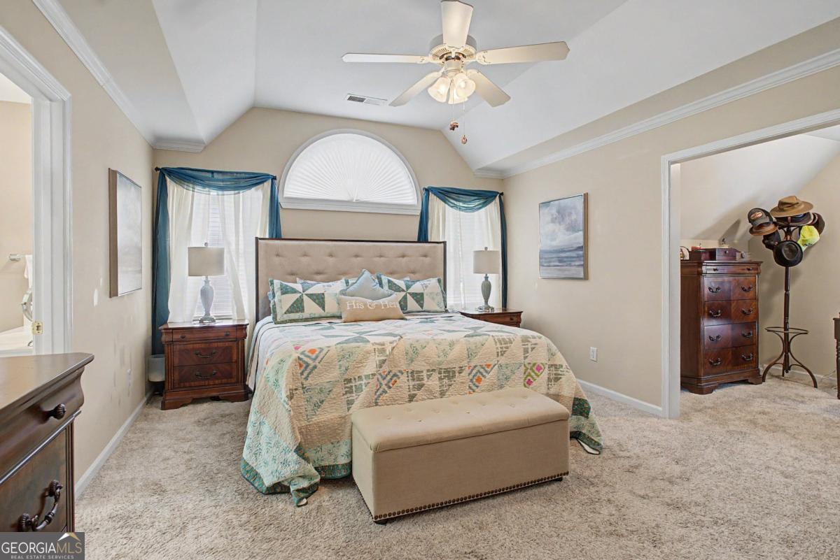 80 Golden Aster Trace