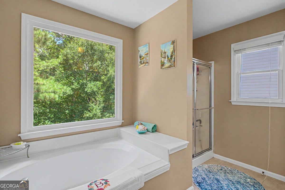 80 Golden Aster Trace