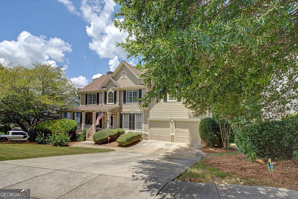 80 Golden Aster Trace