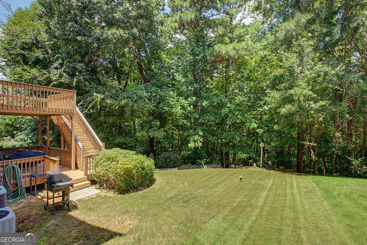 80 Golden Aster Trace