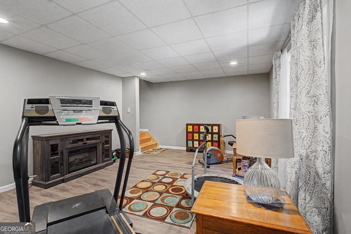 80 Golden Aster Trace