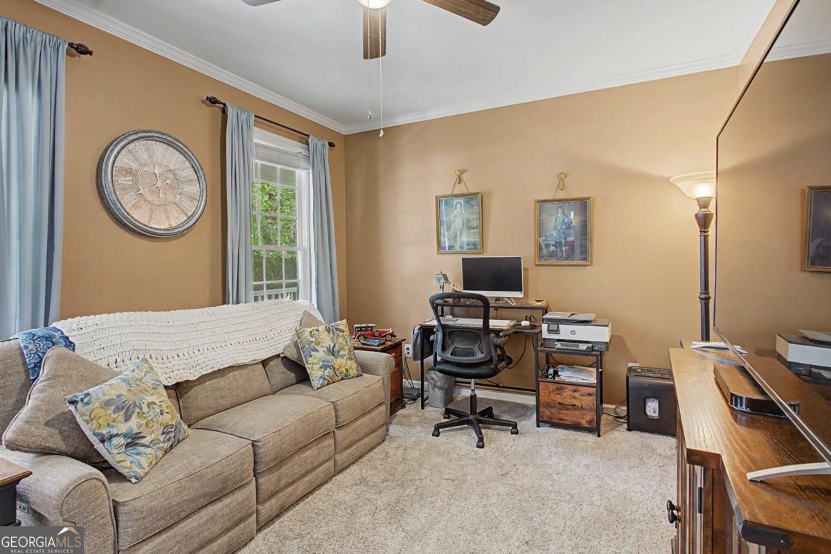 80 Golden Aster Trace