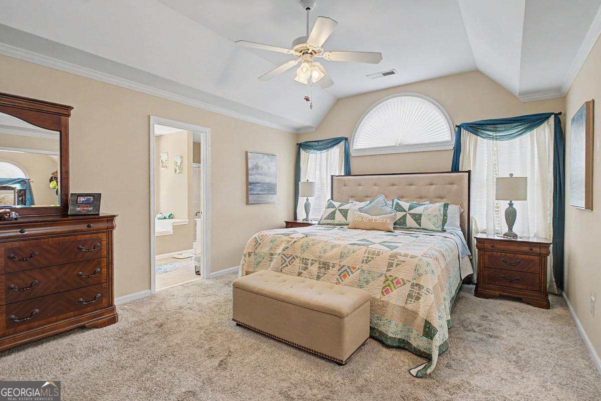 80 Golden Aster Trace