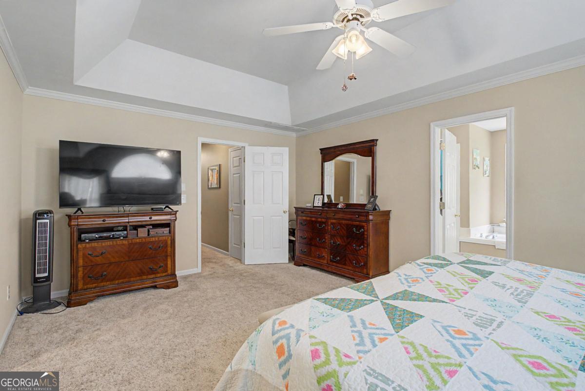 80 Golden Aster Trace