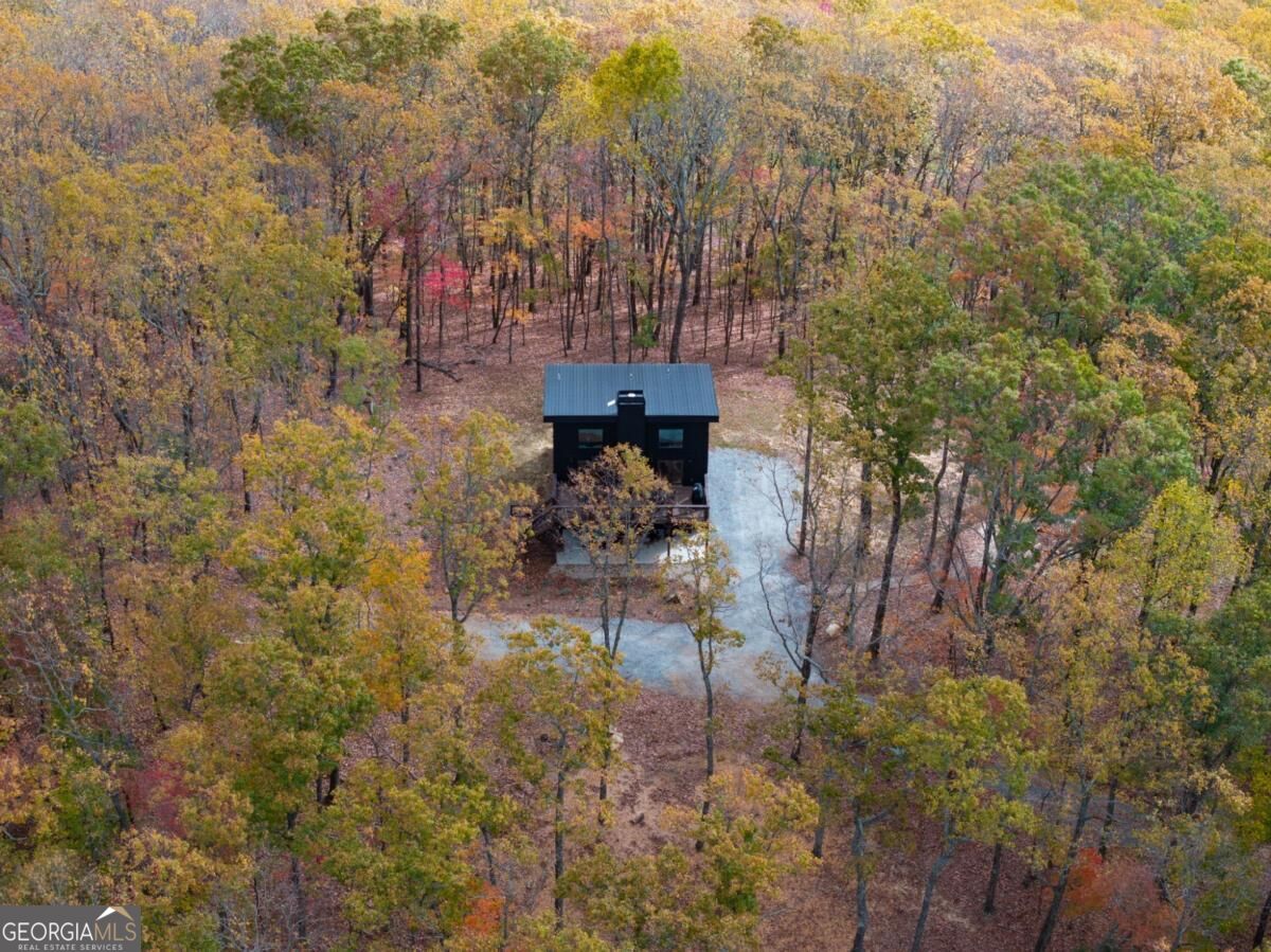 1250 Lost Forest Road