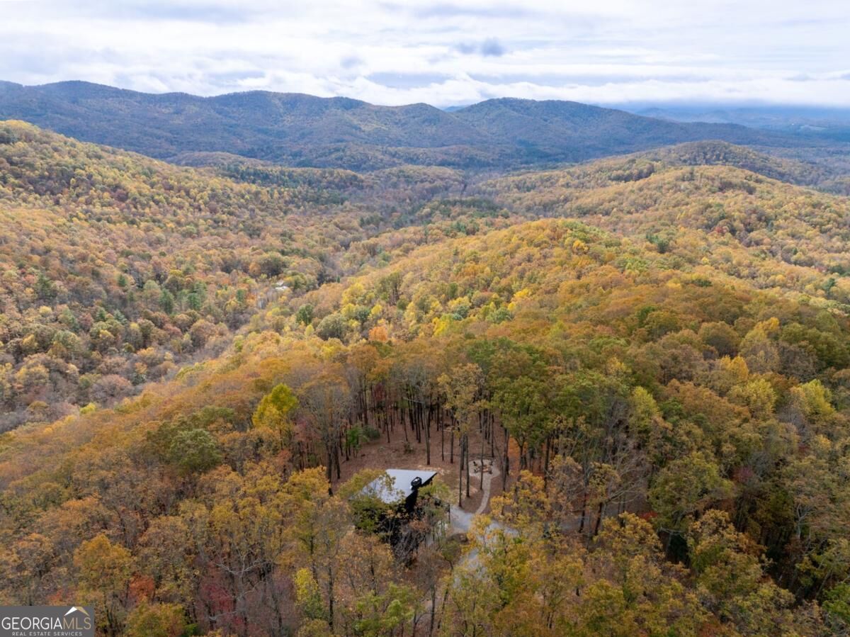 1250 Lost Forest Road