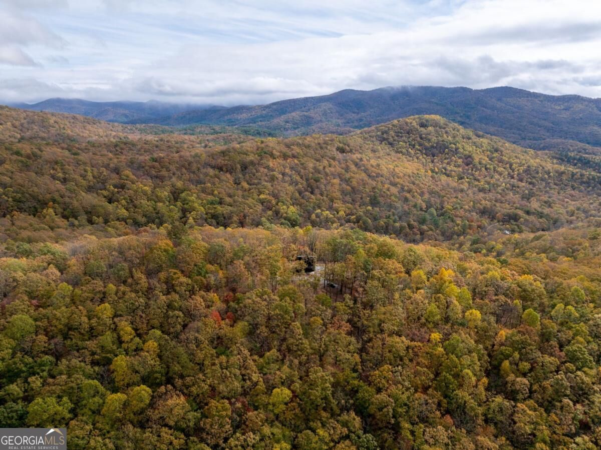 1250 Lost Forest Road