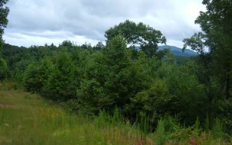 LT 14 Bryant Creek Road