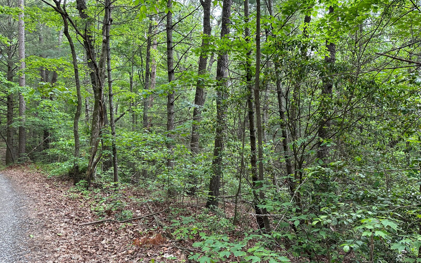 00 Scott Hollow Road