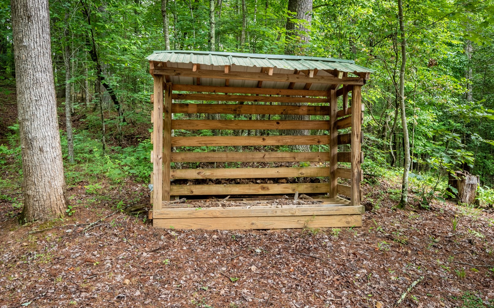 129 Bear Trail