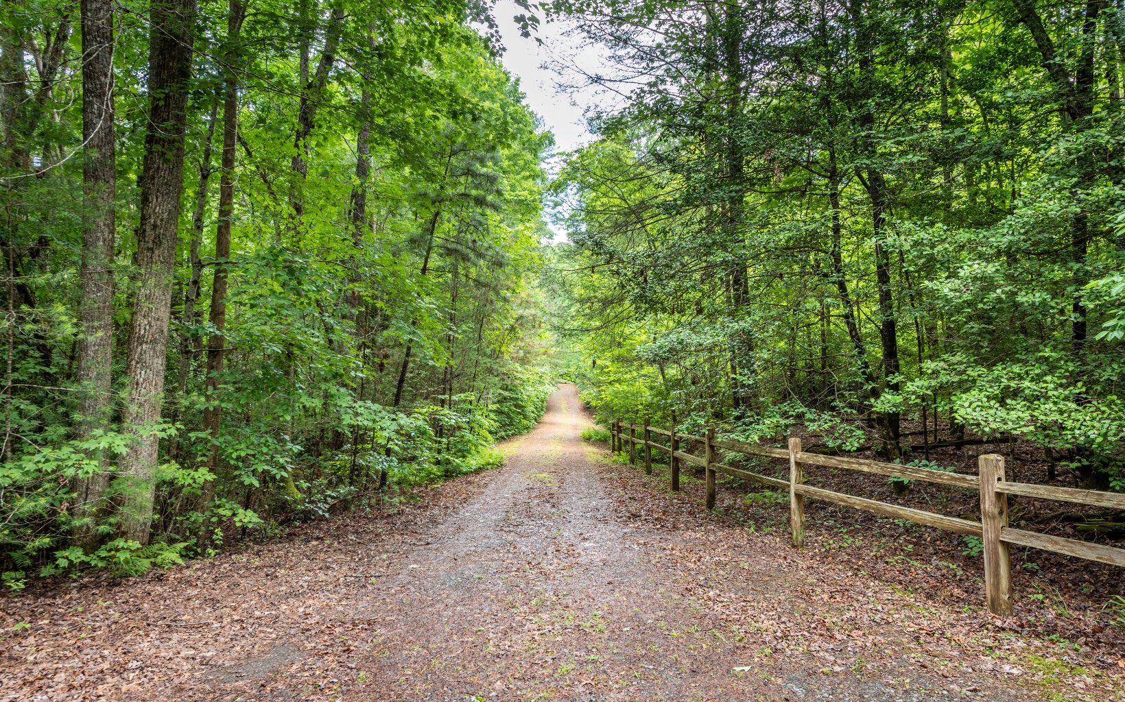 129 Bear Trail