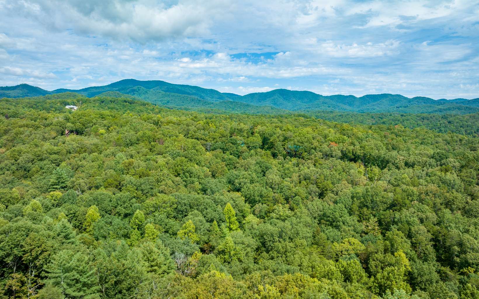 165 Trails End Summit