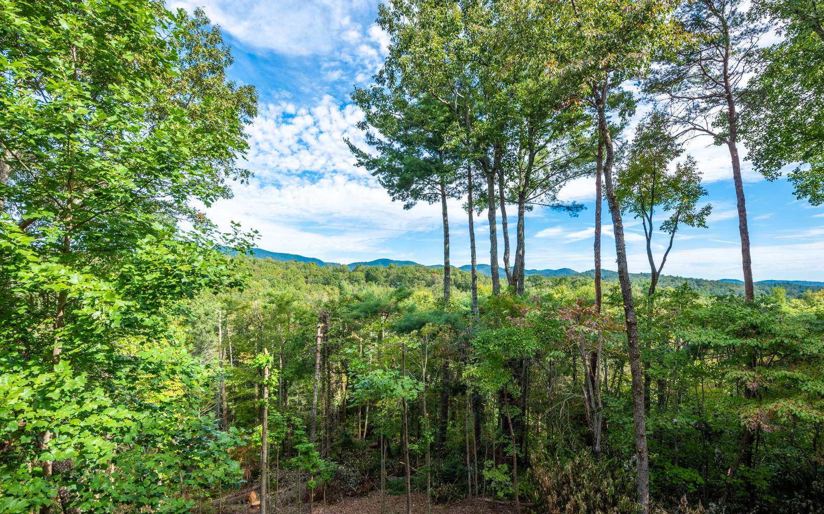 165 Trails End Summit