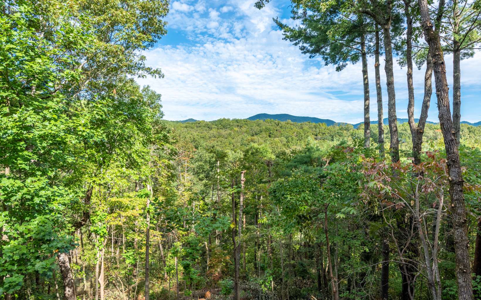 165 Trails End Summit