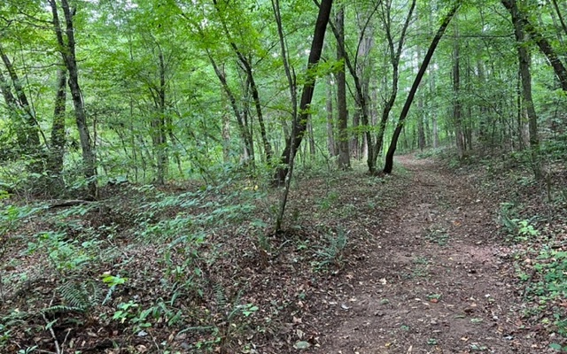 LOT 9 River Escape Drive