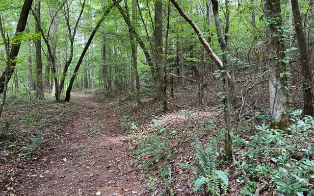 LOT 9 River Escape Drive