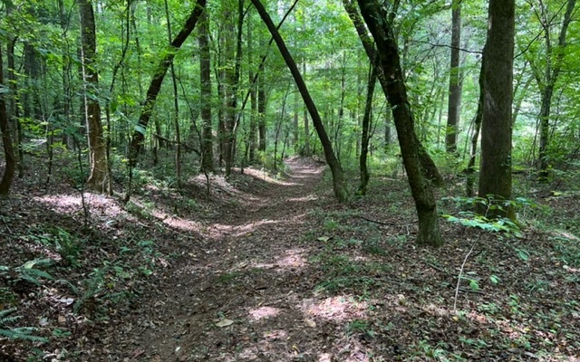 LOT 9 River Escape Drive