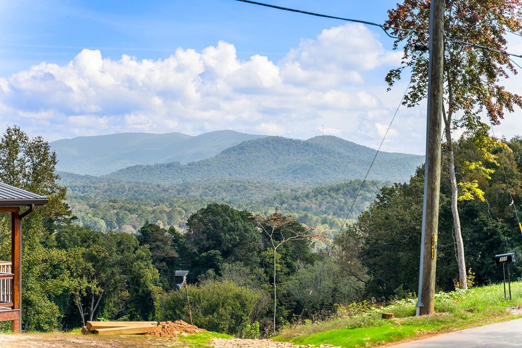 307 Skyline Drive