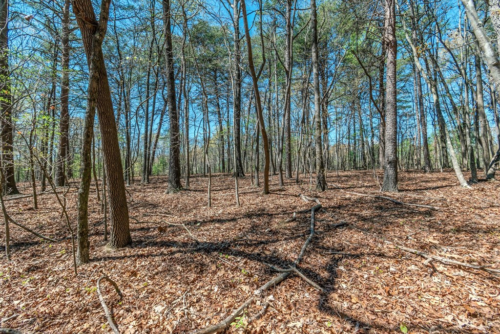 Lot 16 Country Hills Road