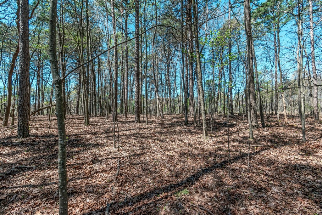 Lot 16 Country Hills Road