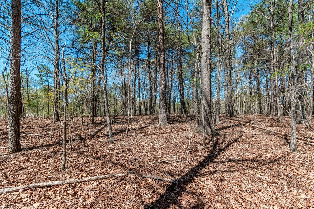 Lot 16 Country Hills Road