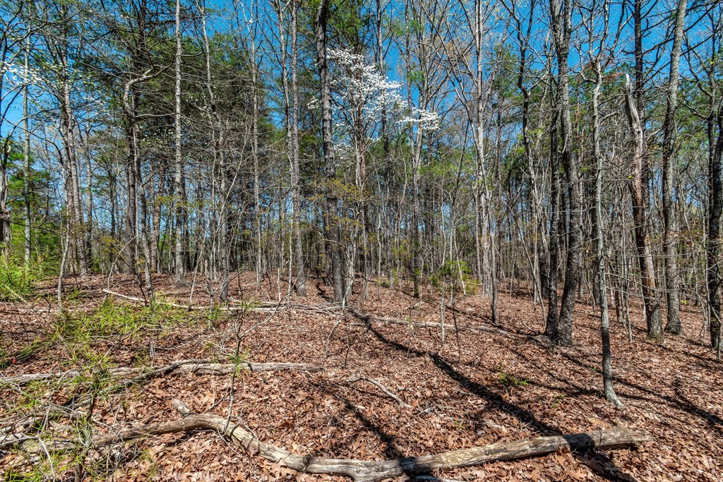 Lot 16 Country Hills Road