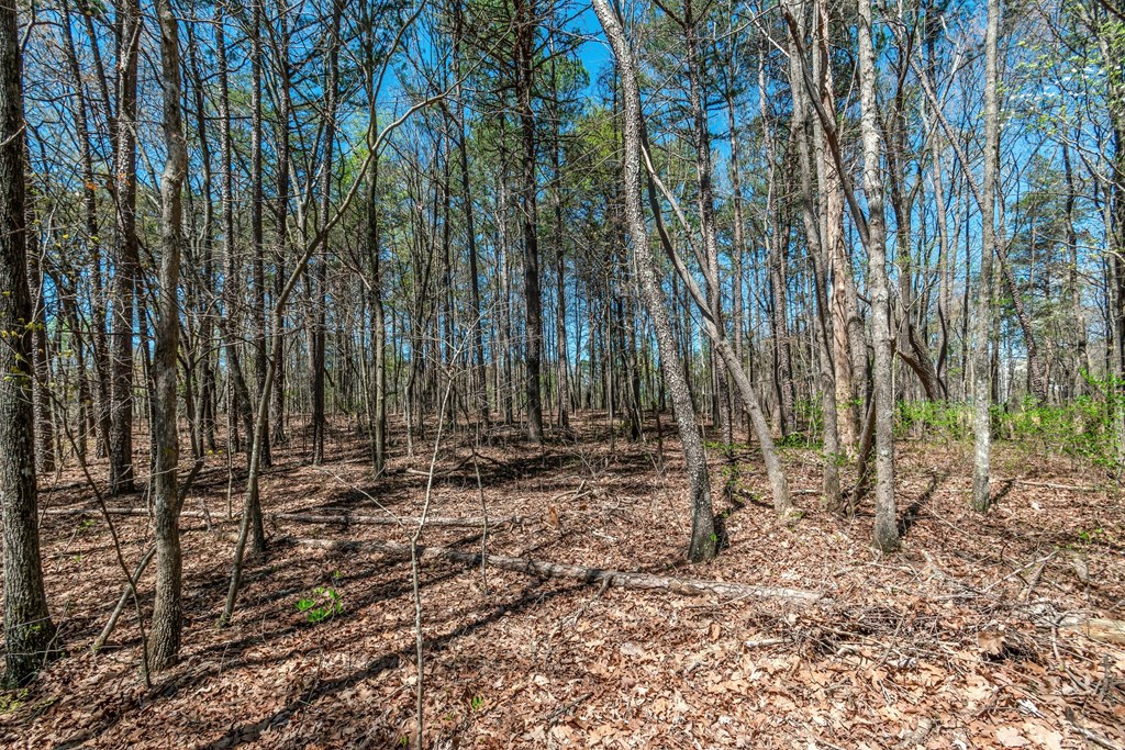 Lot 16 Country Hills Road