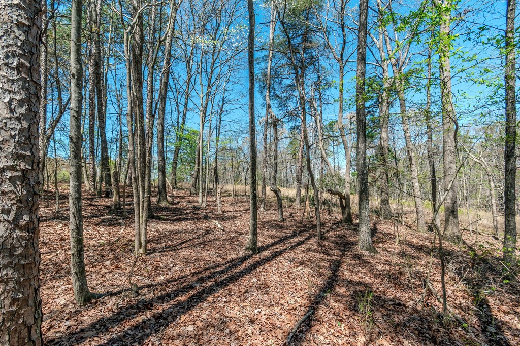 Lot 16 Country Hills Road