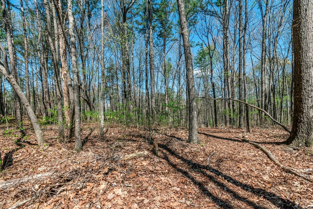 Lot 16 Country Hills Road