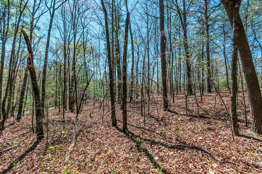 Lot 16 Country Hills Road