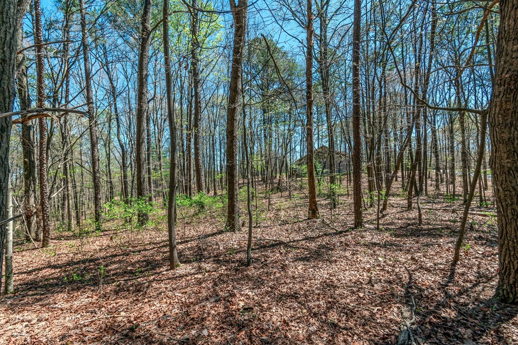 Lot 16 Country Hills Road