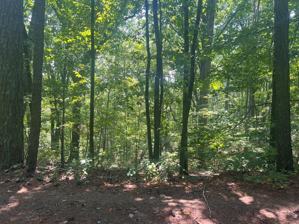 0 Ruby Ridge Drive