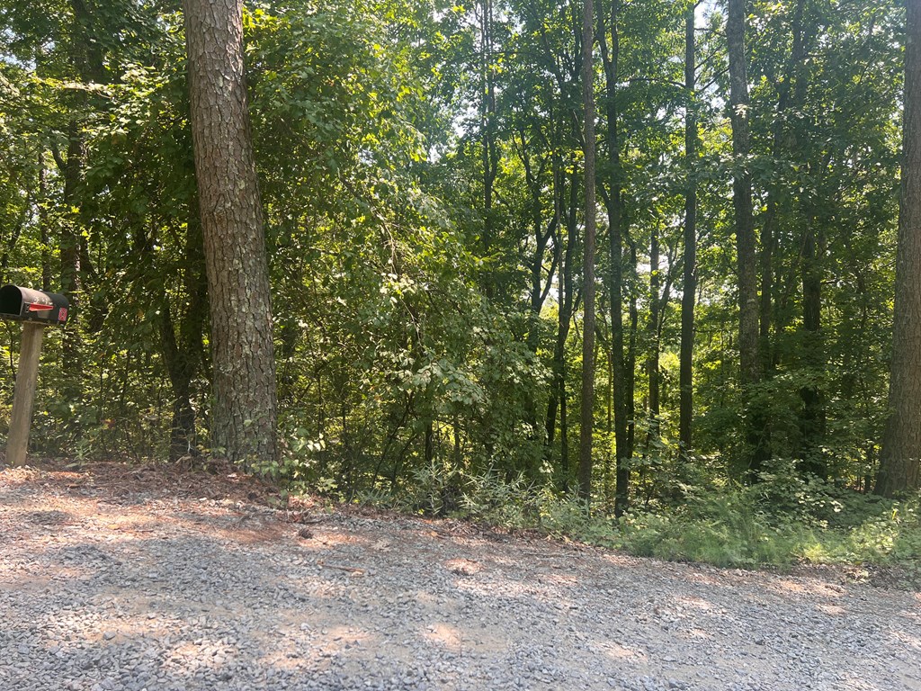 0 Ruby Ridge Drive
