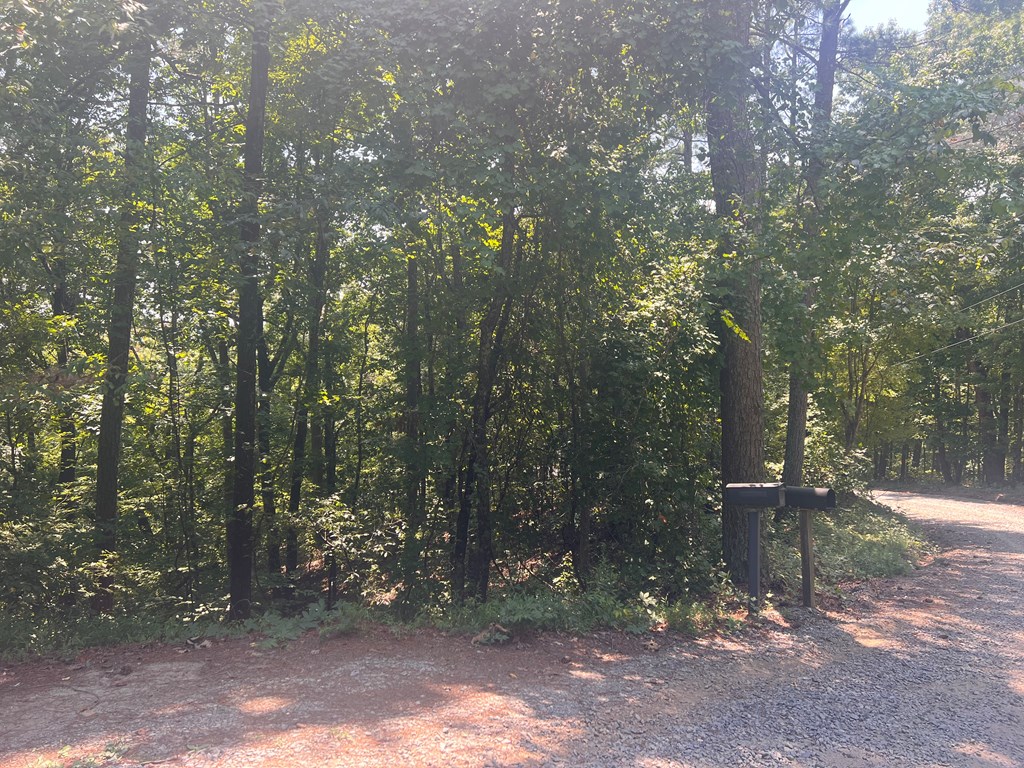 0 Ruby Ridge Drive
