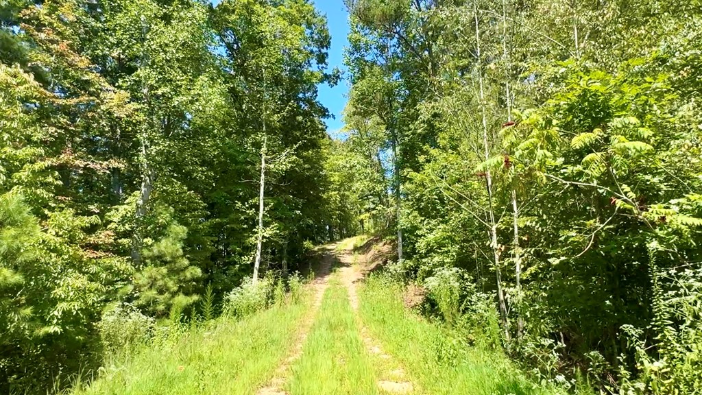 Lot 8 Lookout Valley Trail