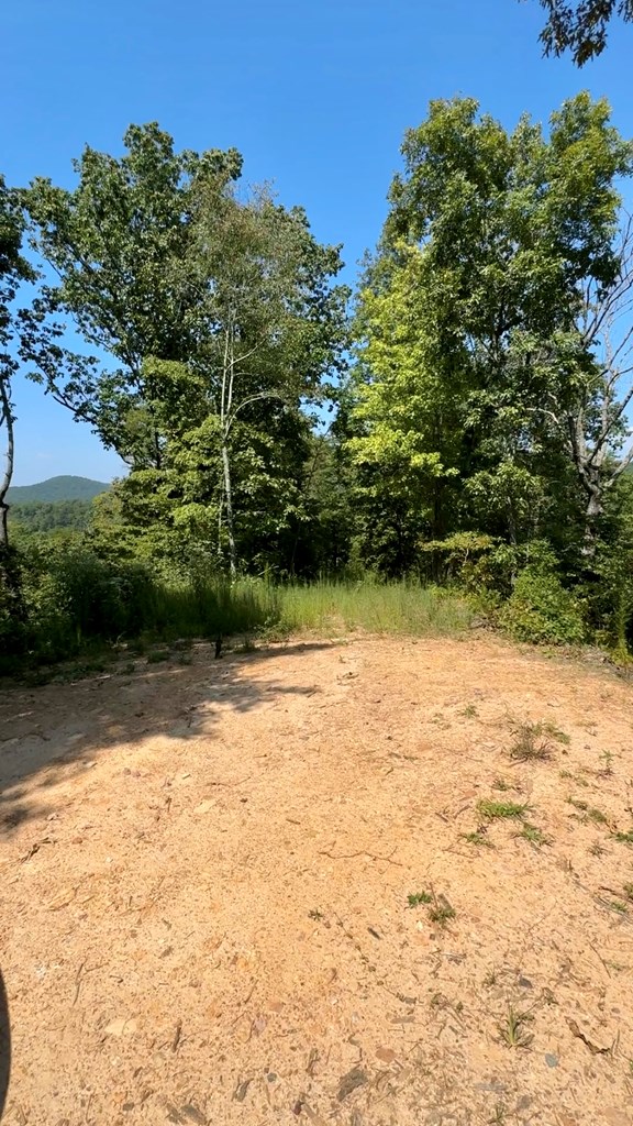 Lot 8 Lookout Valley Trail