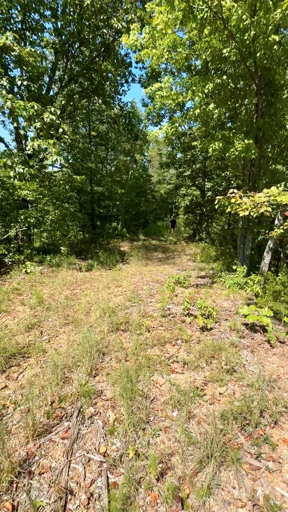 Lot 8 Lookout Valley Trail