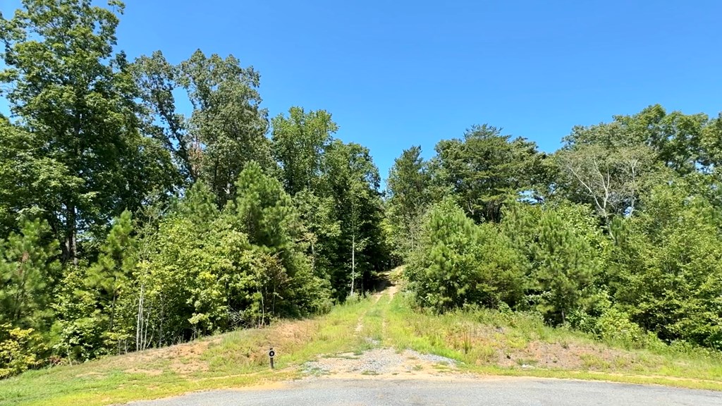 Lot 8 Lookout Valley Trail