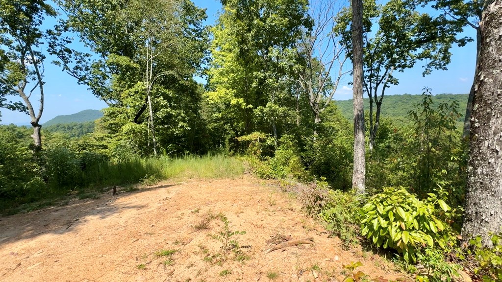 Lot 8 Lookout Valley Trail