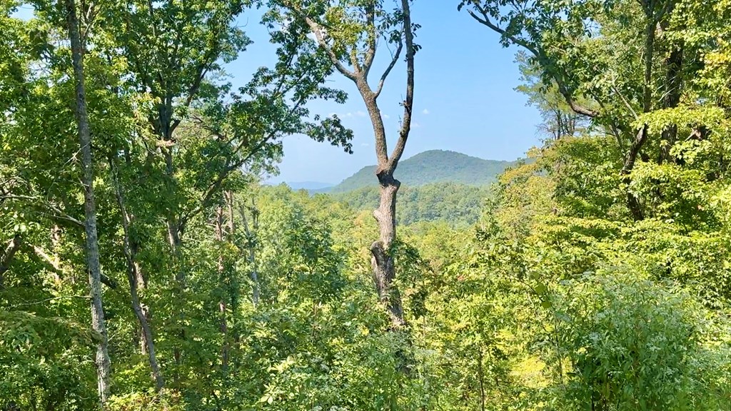 Lot 8 Lookout Valley Trail