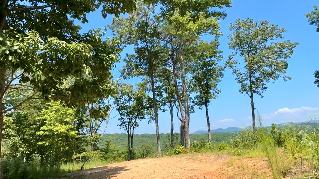 Lot 8 Lookout Valley Trail