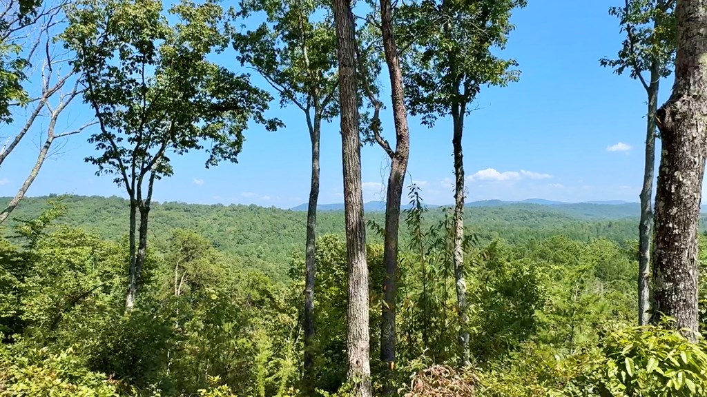 Lot 8 Lookout Valley Trail