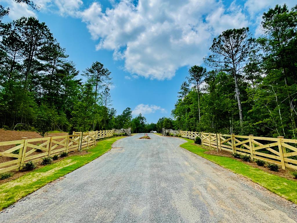Lot 8 Lookout Valley Trail